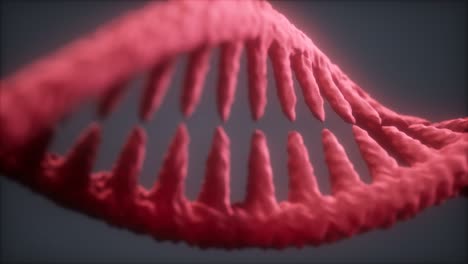 DNA-Molekül-Auf-Dem-Grauen-Hintergrund